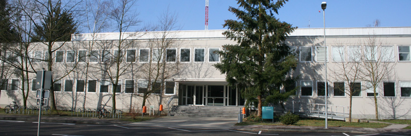 2010