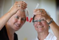 Lehrkräfte beim Experiment