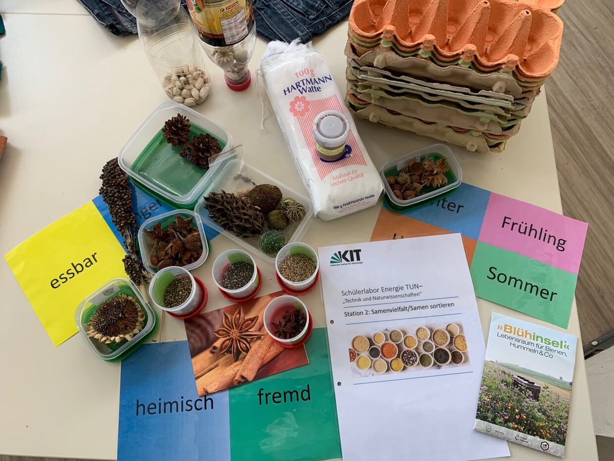 FTU Verena Maier Samenvielfalt