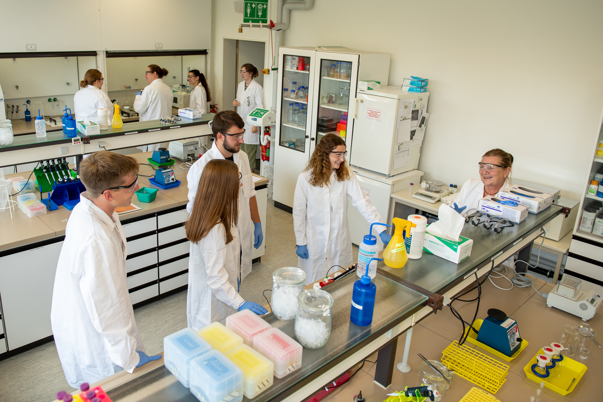 kit ftu rinderknecht Molekularbiologisches Praktikum